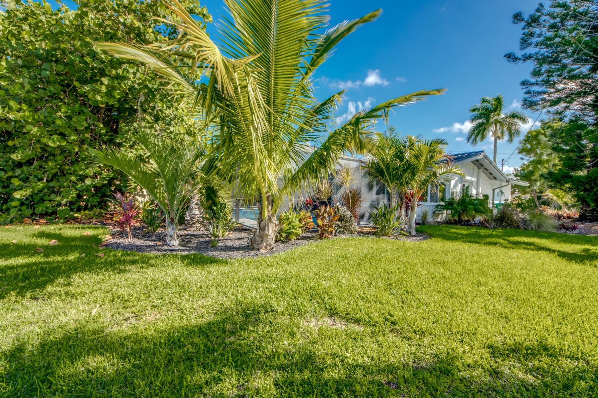 De Vil * Cape Coral